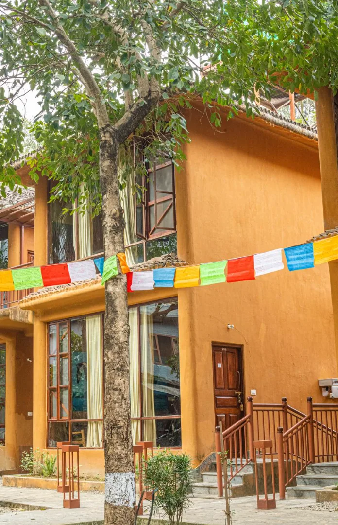Jungle Adventure World Hotel